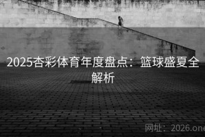 2025杏彩体育年度盘点：篮球盛夏全解析