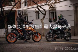 华体会深度报告：最大黑马来袭