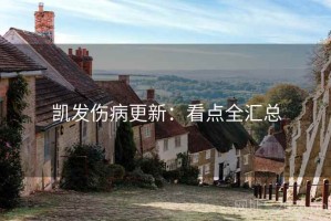 凯发伤病更新:看点全汇总 凯发伤病更新:看点全汇总