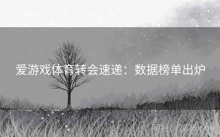 爱游戏体育转会速递:数据榜单出炉 爱游戏体育转会速递:数据榜单出炉