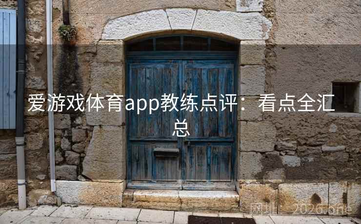 爱游戏体育app教练点评:看点全汇总 爱游戏体育app教练点评:看点全汇总