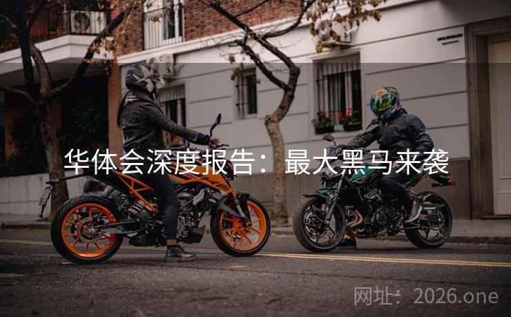 华体会深度报告:最大黑马来袭 华体会深度报告:最大黑马来袭