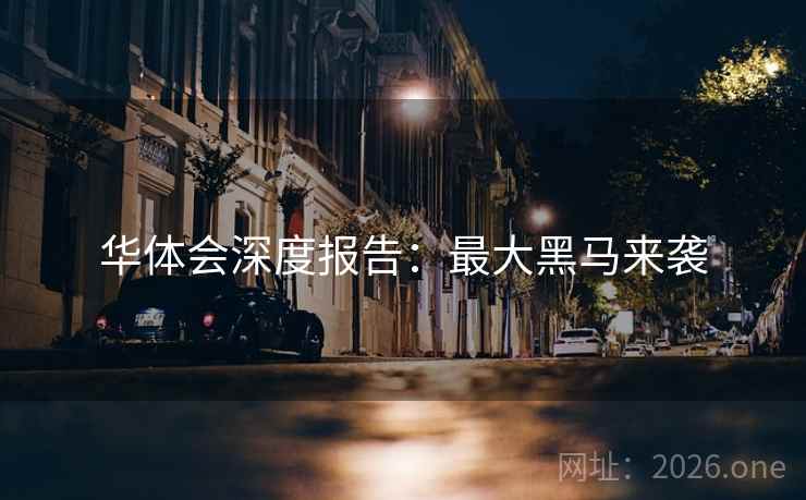 华体会深度报告:最大黑马来袭 华体会深度报告:最大黑马来袭