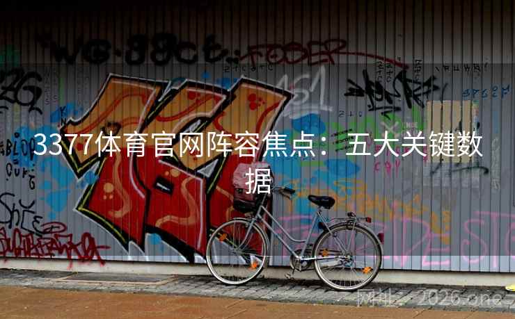 3377体育官网阵容焦点：五大关键数据