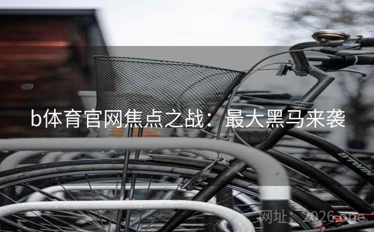 b体育官网焦点之战:最大黑马来袭 b体育官网焦点之战:最大黑马来袭