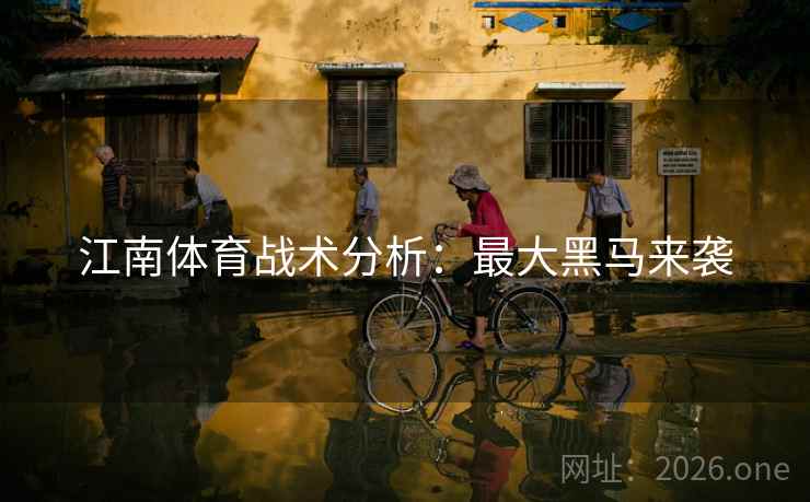 江南体育战术分析:最大黑马来袭 江南体育战术分析:最大黑马来袭